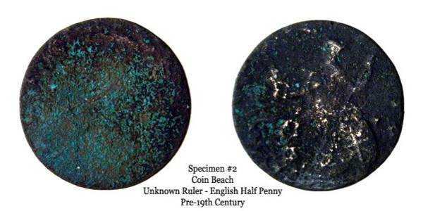 Specimen 2 can be diagnosed by the outline of Britannia on the reverse. Though obverse details are corroded away, it is clear by specimen's diameter that it is an English half penny. Given the size of Britannia on the reverse, and by implication the date of the Faithful Steward wreck, it is pre-19th century. It is unclear whether the specimen is regal, evasion, or a contemporary counterfeit.