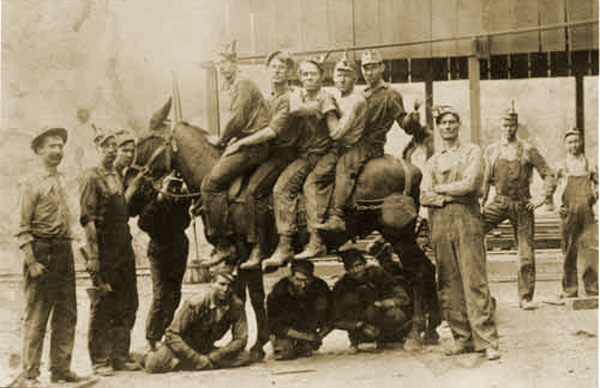 Group of Thurber Miners