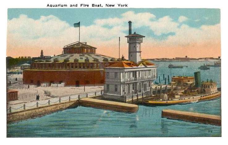 AquariumAndFireBoat